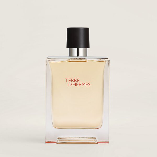 HERMES - Image 2